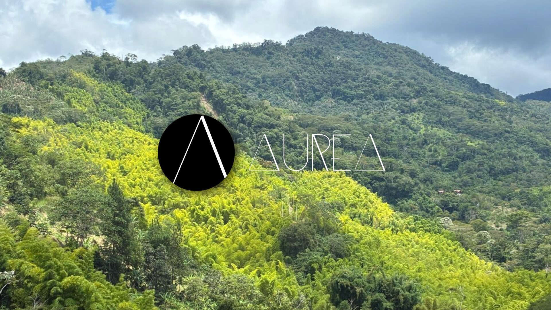 Web fioangilo pagina Aurea